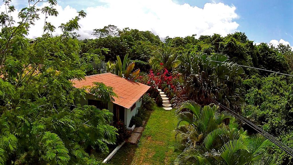 Hotel Three Monkeys Montezuma Extérieur photo